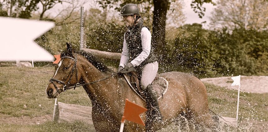 Reitunterricht Schleswig Holstein Reitunterricht Schleswig Holstein