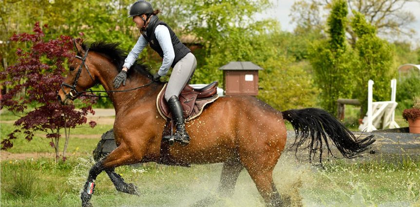 Reitunterricht Bad Segeberg